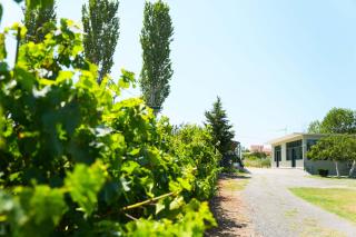 Gazulli Guesthouse - 1