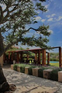 Finca Peña Picacho - 8