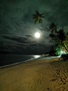 Seaside Villa on the Beach Bang Por - Lotus - 7