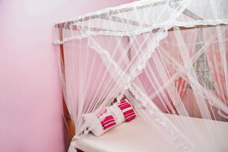 veranda guest home - Mirissa - 1
