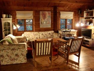 Ferienhaus-auf-Naturgrundstueck-mit-Ofen-Tischfussball-und-zwei-Terrassen - 3