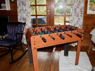 Ferienhaus-auf-Naturgrundstueck-mit-Ofen-Tischfussball-und-zwei-Terrassen - 1