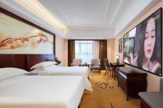Vienna International Hotel Anhui Jinzhai - 3