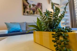 South Park Apartment - Best Location & All Nearby - 1