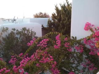 Ibiscus Chora HouseMyconos - 8