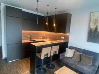 VILNIUS Modern Apartmen - 0