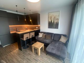 VILNIUS Modern Apartmen - 7