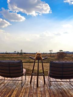 Asama Serengeti Camp - 6