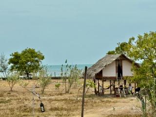 Delft Jungle Beachfront Villa - 3