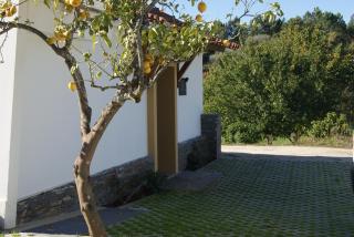 Casa De Santo Antão - Turismo Rural - Padrões - 5