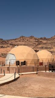 Desert Star of Wadi Rum - 0
