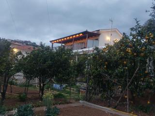 Laertis house - 0