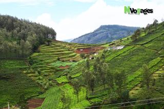 Nvoyages side Ooty - 0