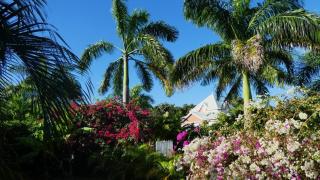 Villa CACAO - 4