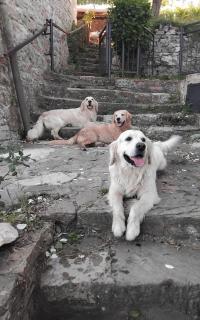 La casa nel bosco - 6