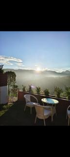 Kasauli Pine Hill Cottages I Kasauli - 6