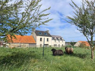 Gîte Familial 3 étoiles - Maison Kidour - 0