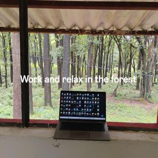 Basani Forest Homes - 1