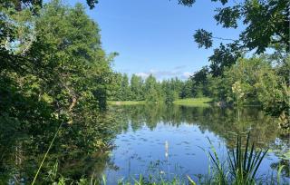 4 Bedroom Pet Friendly Home In Lilla Forsa - 2