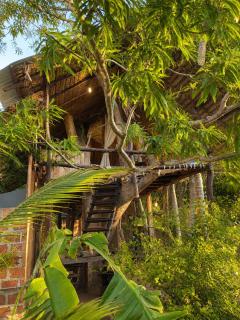 Green Horizon Treehouse Sigiriya - 8