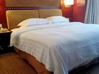 Vienna International Hotel Dongguan Changping Tian'ehu Road - 1
