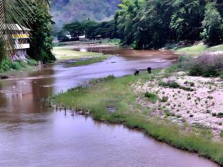 River Bank Resort -  - 5