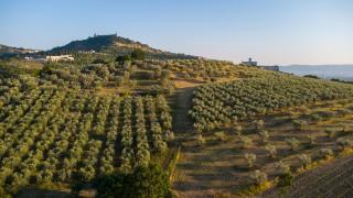 Alma Agriturismo - 9