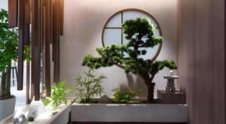 Langlizi Hotel Chengdu Chunxi Road Wenshuyuan Subway Station Branch - 5