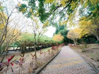 Atayal Resort - 2