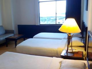 Kingston Hotel - 3