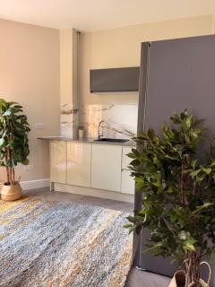 Executive Studio Apartment - 8