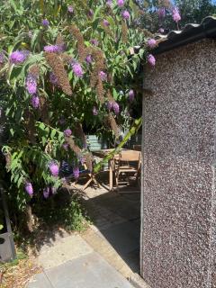 3 Bed house in South Cambridge - next to Cherry Hinton Park - 6