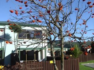 Hanmer Resort Motel - 4