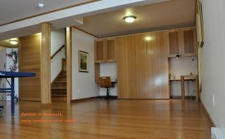 A big private basement with bathroom inside - 3
