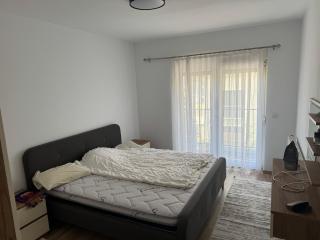 Comfy Apartment in Pristina - 2
