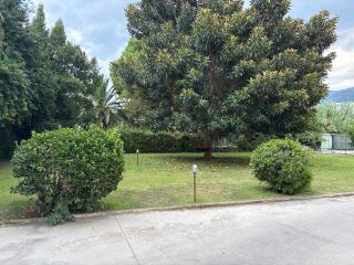 Ammoessa House - 6
