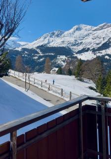 Chalet Steinbock Wengen - 9