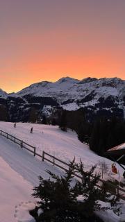 Chalet Steinbock Wengen - 7