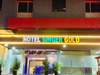Hotel Ginger Gold Newly renovated - 7