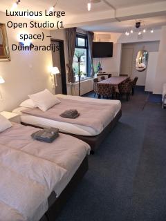 DuinVliet - Zandvoort Dunes & Free Parking - 8