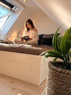 Brombachsee-Auszeit Cozy Maisonette Netflix - 4