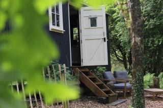 Cornwall Woodland Shepherd's Hut - Dennis Hut - 3