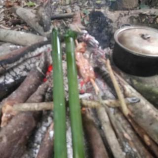 Jungle Survival Skill Trekking and Camp - 6
