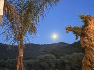 Viasol Suites Thassos - 1