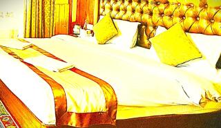The Krishna Regency Hotel - 4