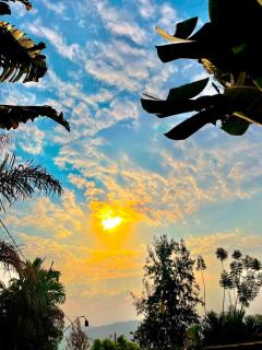 The Nature Retreat - 1