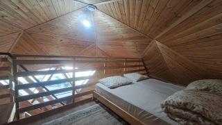 A secluded cabin surrounded by nature - 3