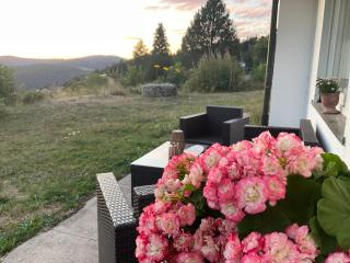 Ferienwohnung Waldglück Wehrhalden - 8