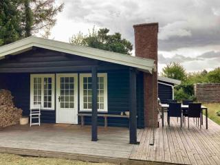 Cozy and authentic log house - 1
