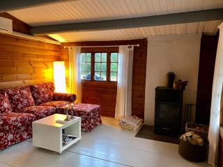 Cozy and authentic log house - 2